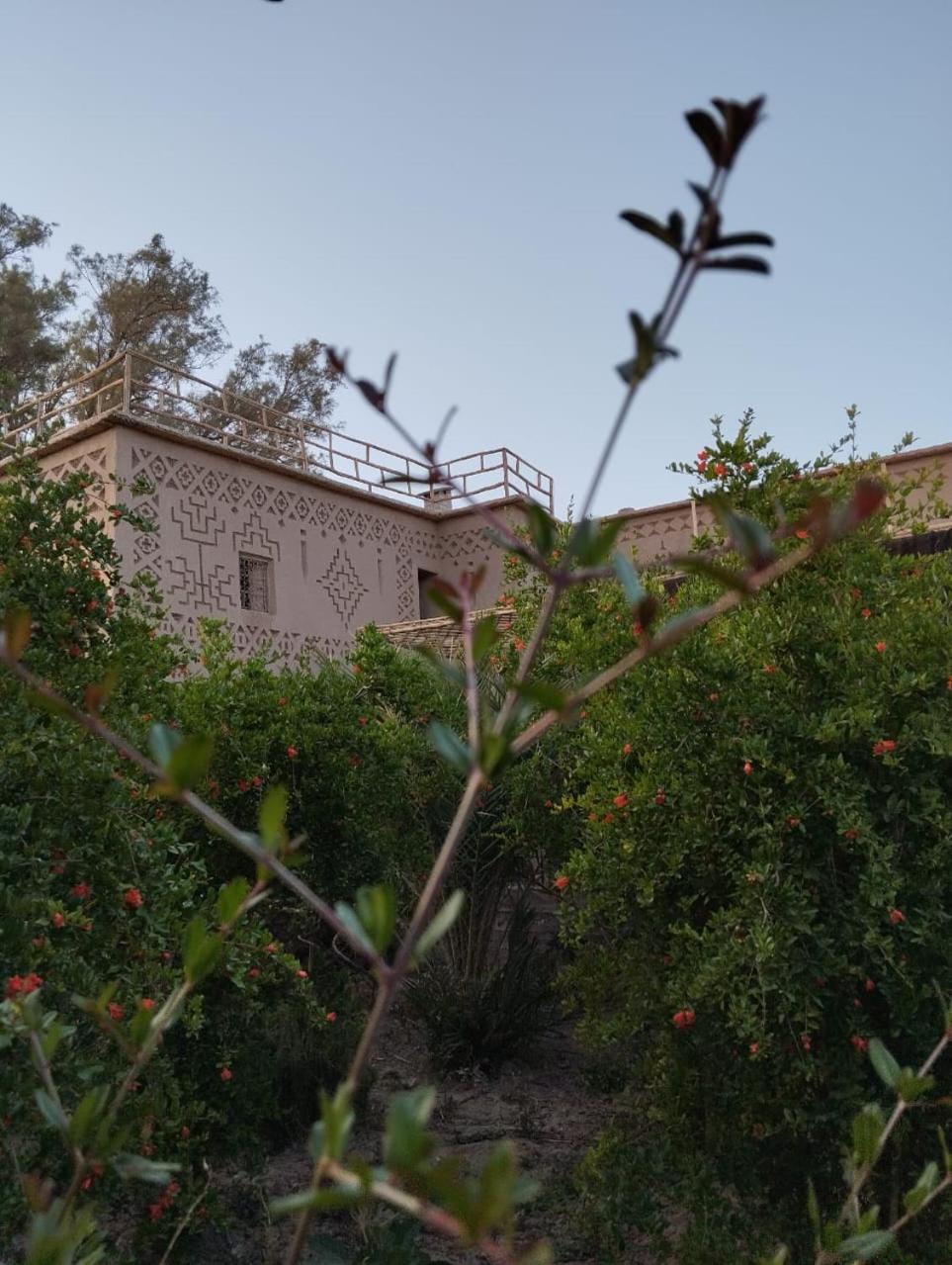 Heritage House Skoura Dış mekan fotoğraf